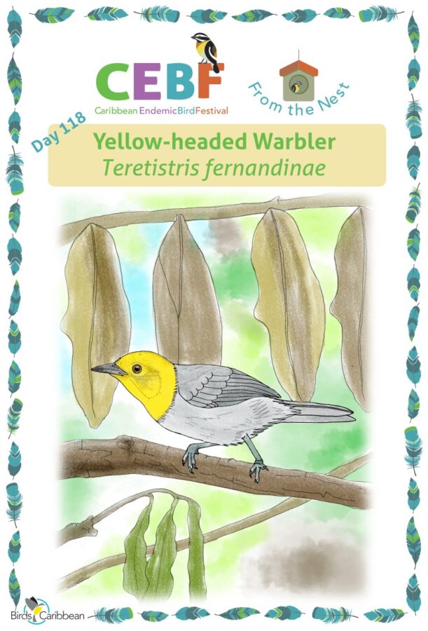 From the Nest – Day 118