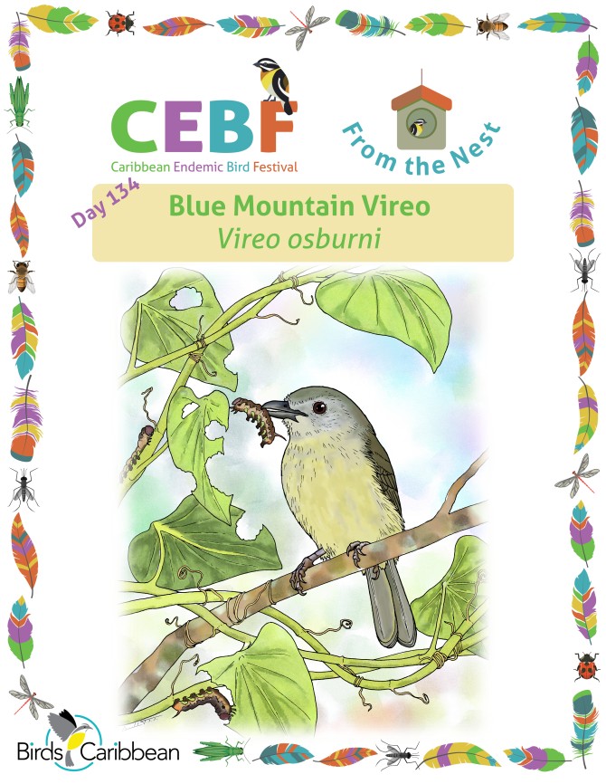 From the Nest – Day 134