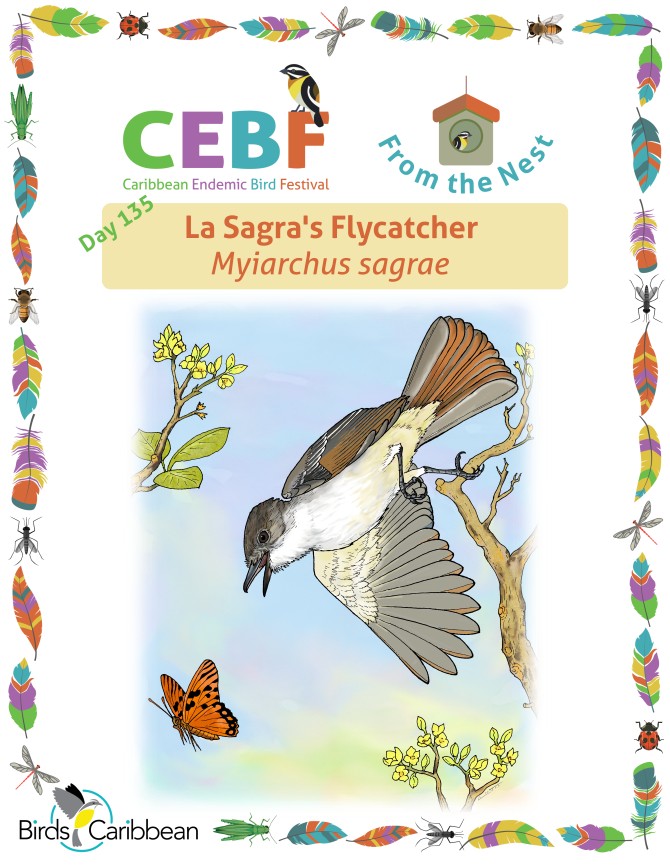 From the Nest – Day 135