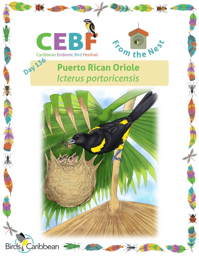 From the Nest – Day 136