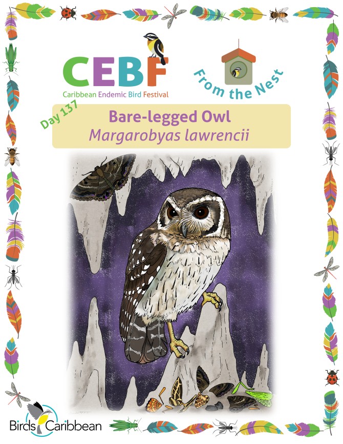 From the Nest – Day 137