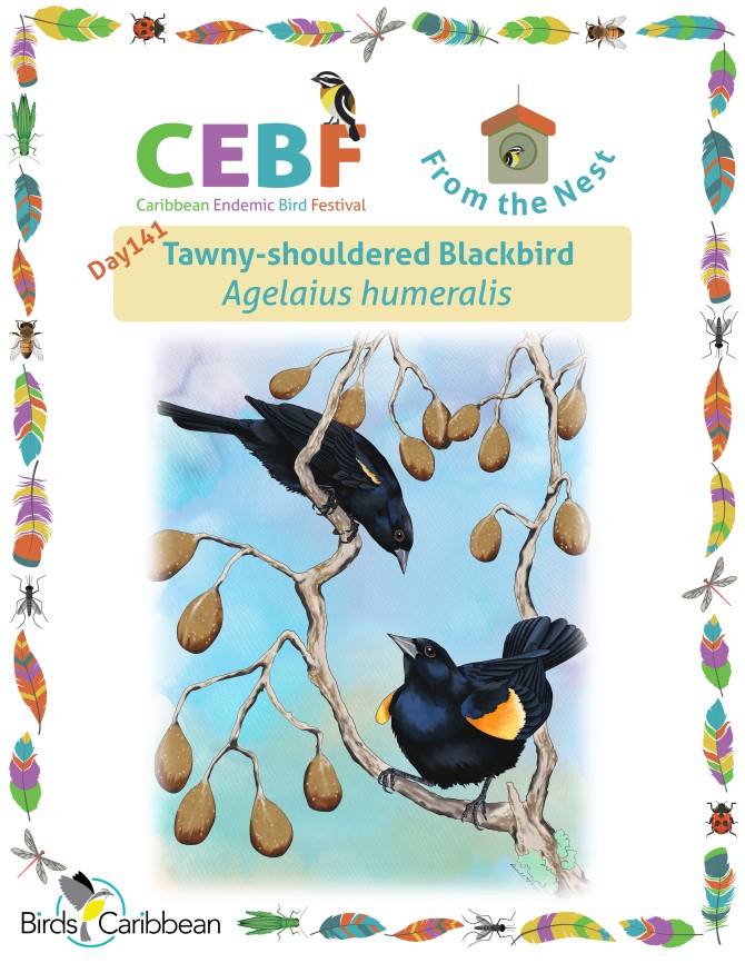 From the Nest – Day 141