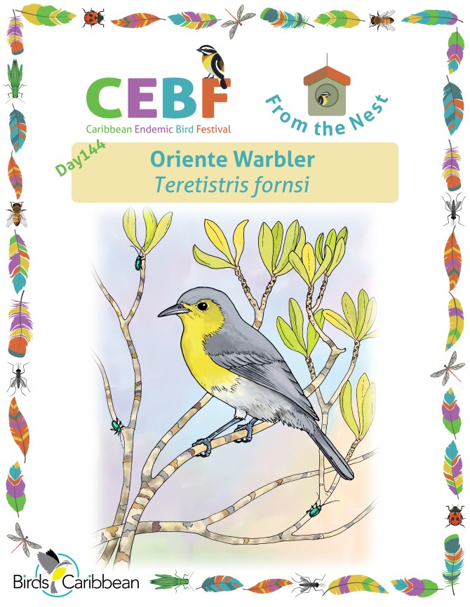 From the Nest – Day 144