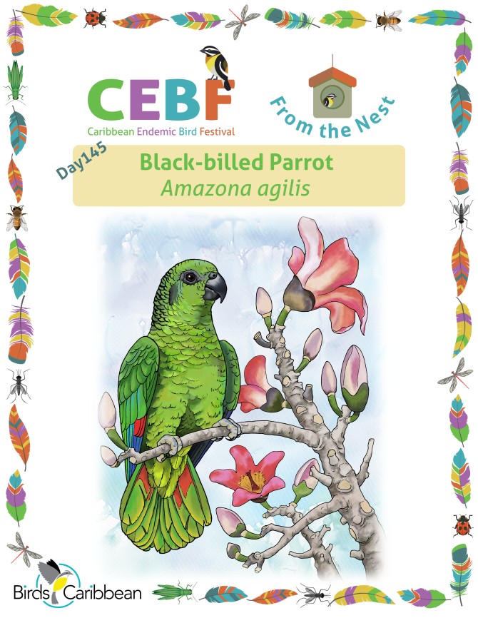 From the Nest – Day 145