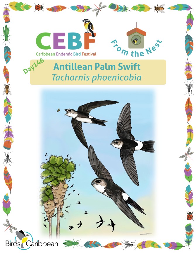 From the Nest – Day 146