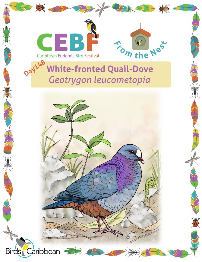 From the Nest – Day 148