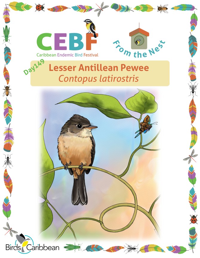 From the Nest – Day 149