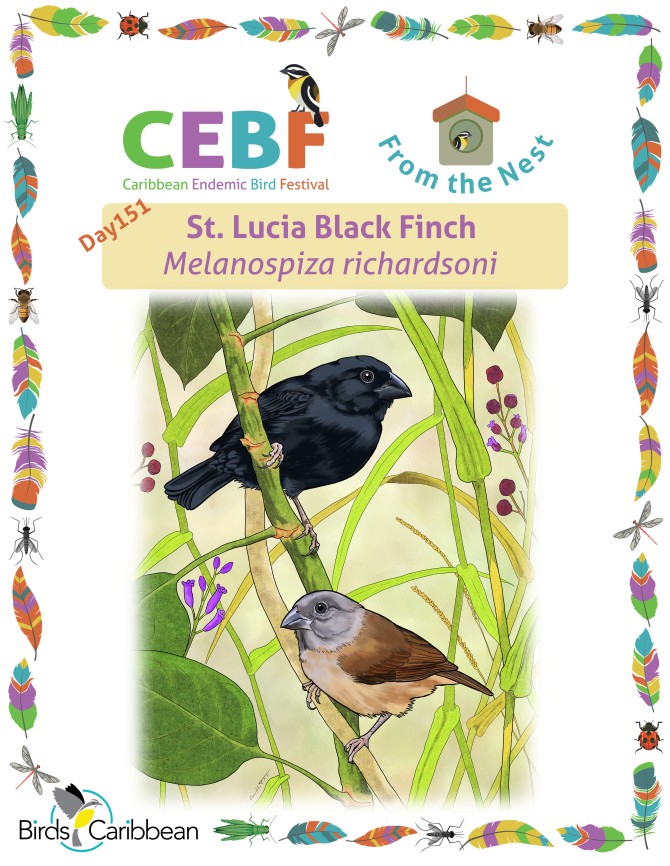 From the Nest – Day 151