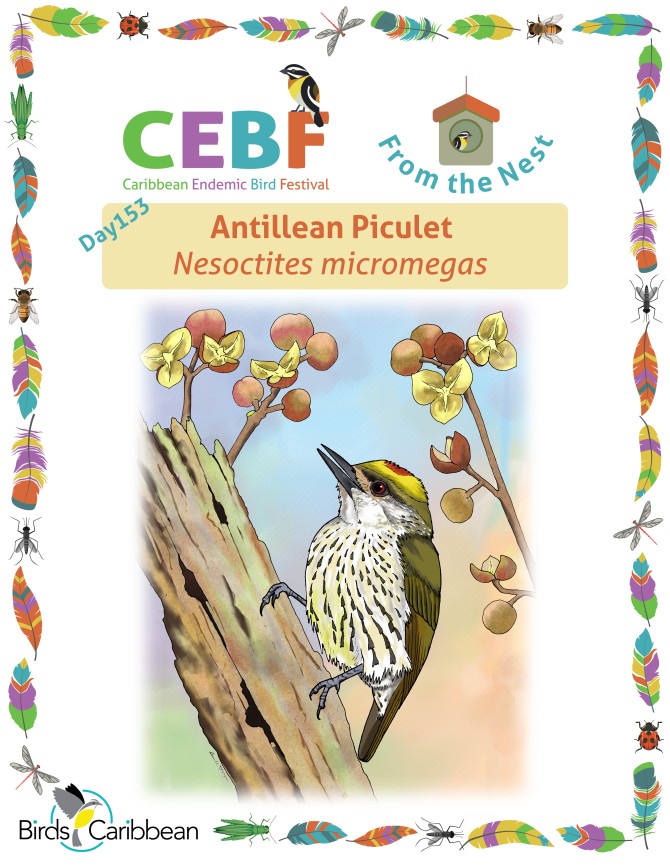 From the Nest – Day 153