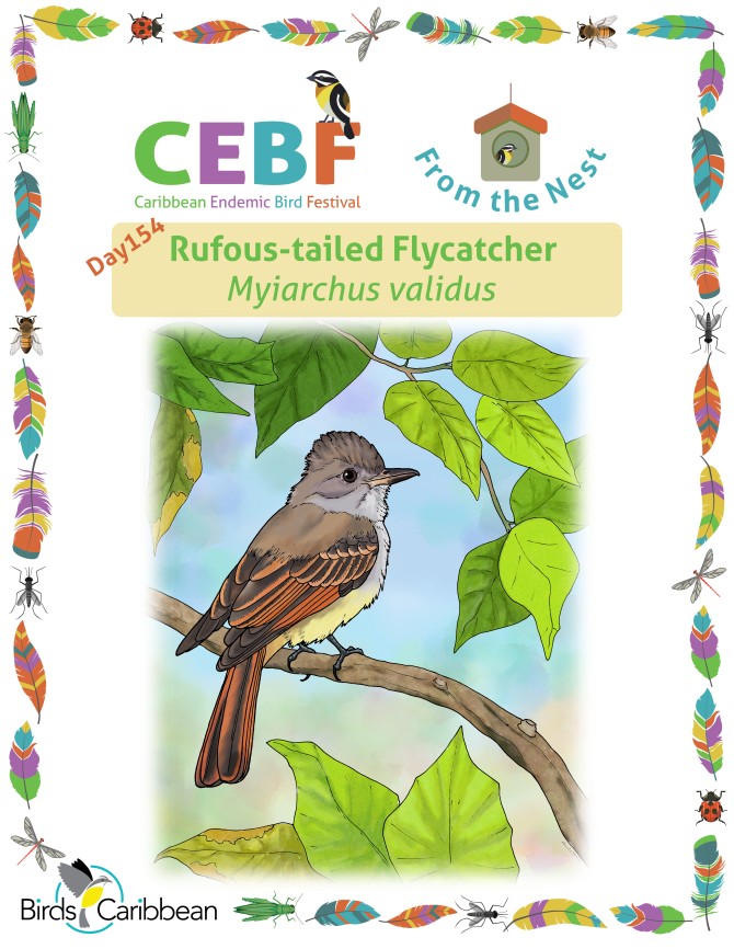 From the Nest – Day 154