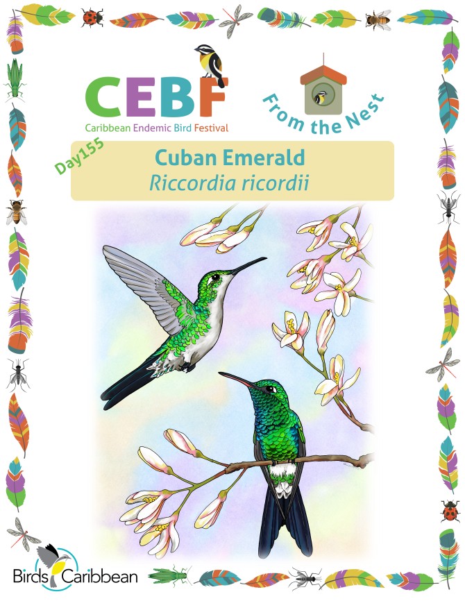 From the Nest – Day 155