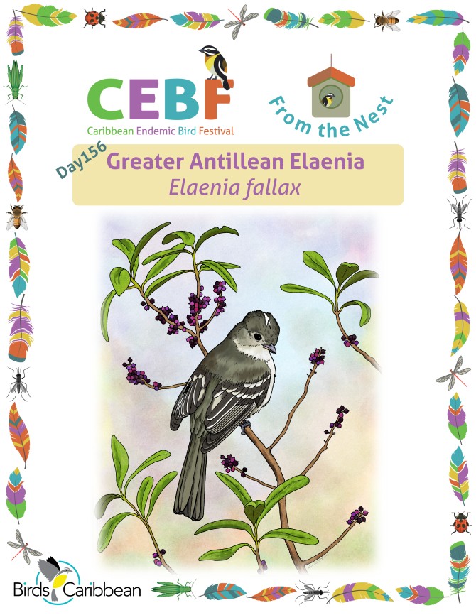 From the Nest – Day 156