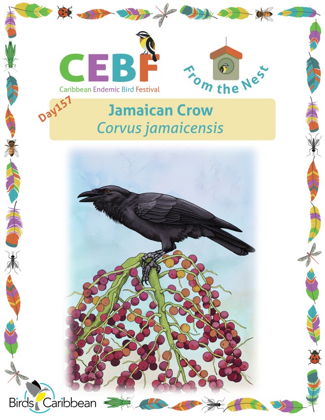 From the Nest – Day 157