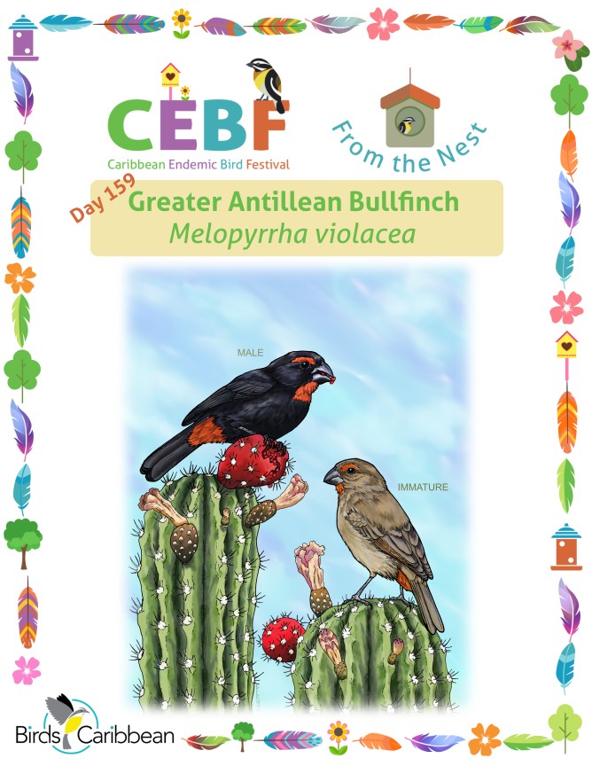 From the Nest – Day 159