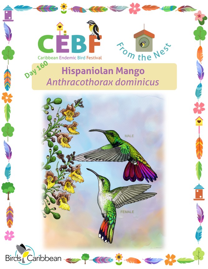 From the Nest – Day 160