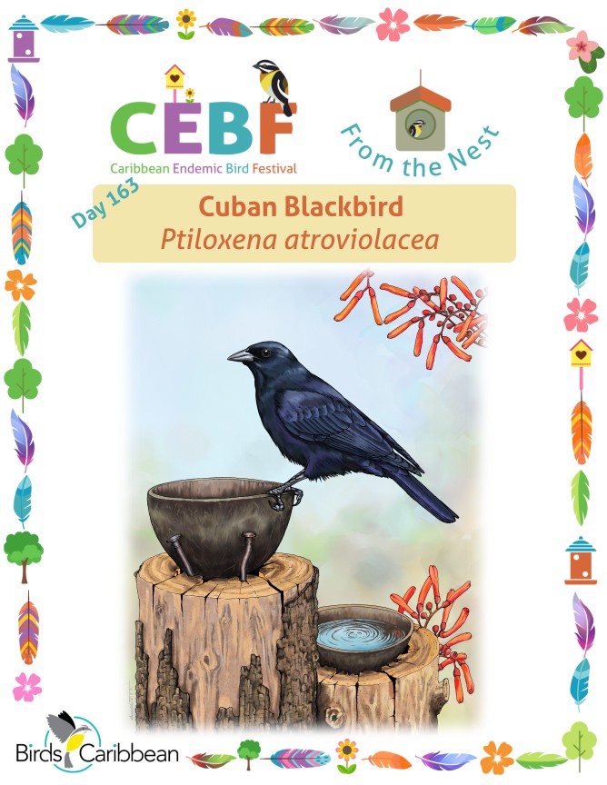 From the Nest – Day 163