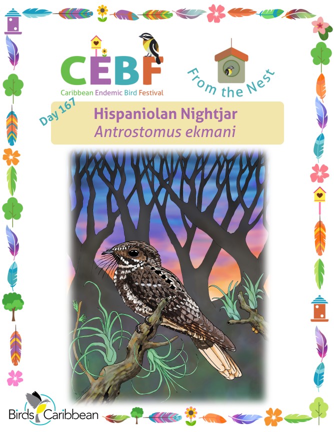 From the Nest – Day 167