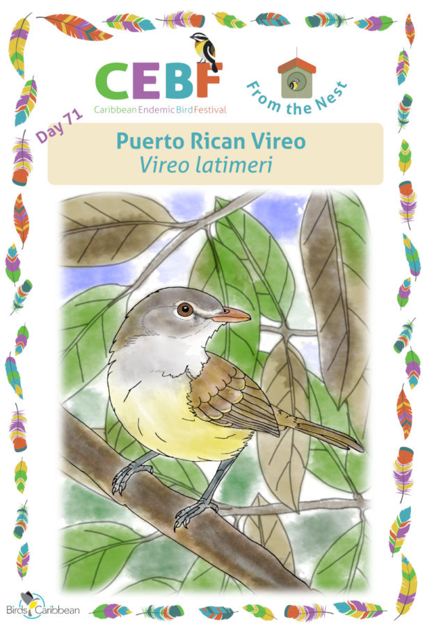 From the Nest – Day 71