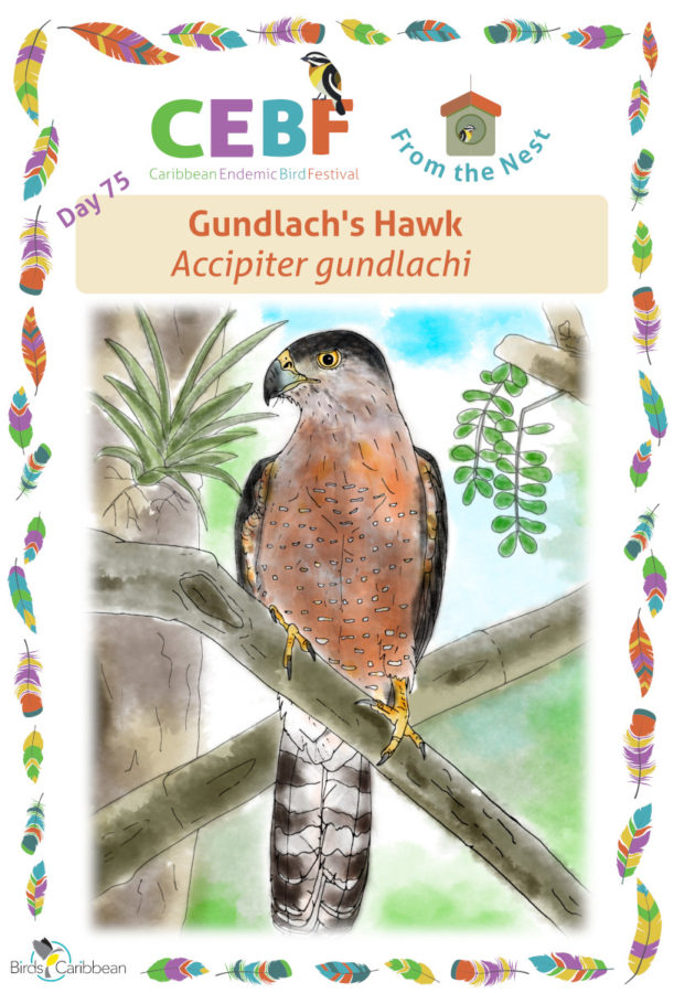 From the Nest – Day 75